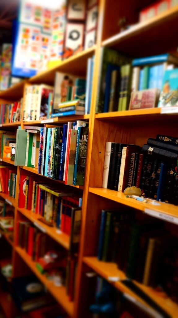 books, wooden shelves, library, child books, reading, education, studies, library, library, library, library, library, education